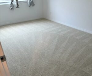 Carpet-Cleaning-in-Las-Vegas-NV
