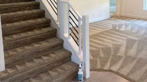 Carpet-Care-in-Paradise-NV
