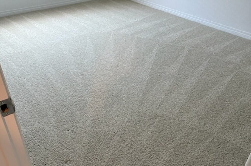 Carpet-Care-in-Paradise-NV