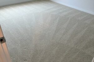 Carpet-Care-in-Paradise-NV