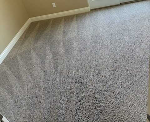 Carpet Care in Paradise, NV